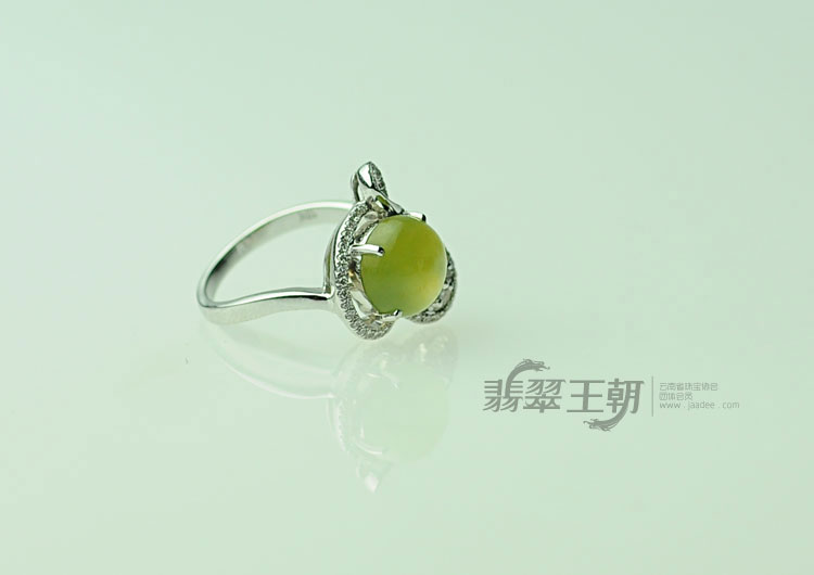 https://jdimg.jaadee.net//images/201104/goods_img/5109_P_1302300517339.jpg