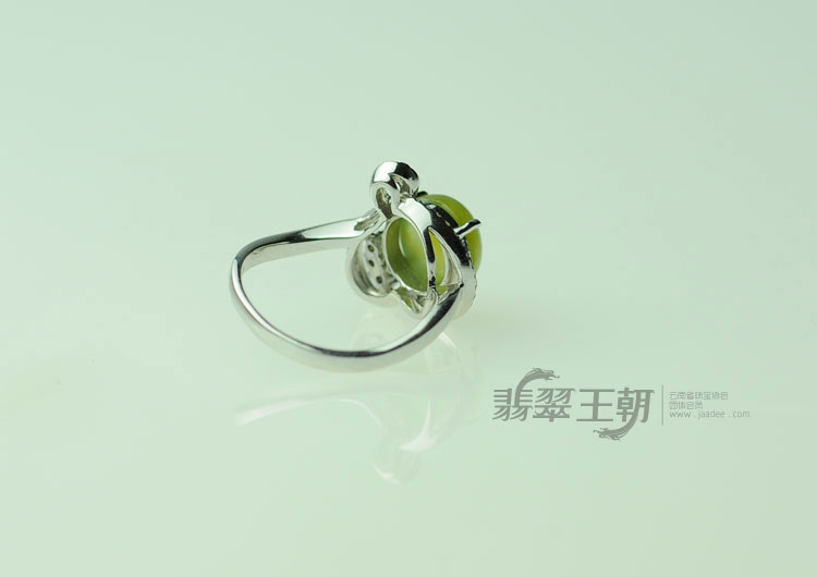 https://jdimg.jaadee.net//images/201104/goods_img/5109_P_1302300518229.jpg
