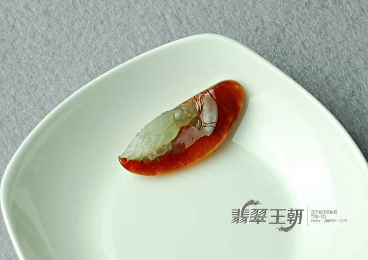 https://jdimg.jaadee.net//images/201104/goods_img/5482_P_1303942539509.jpg
