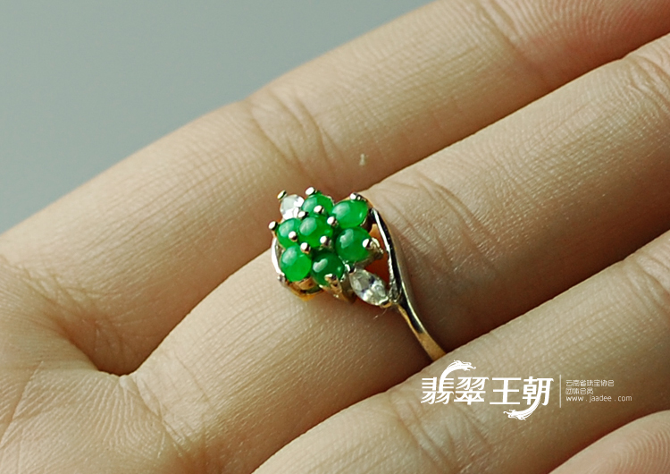 https://jdimg.jaadee.net//images/201104/goods_img/5491_P_1303948864277.jpg