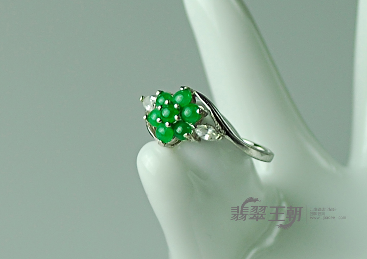 https://jdimg.jaadee.net//images/201104/goods_img/5491_P_1303948864475.jpg