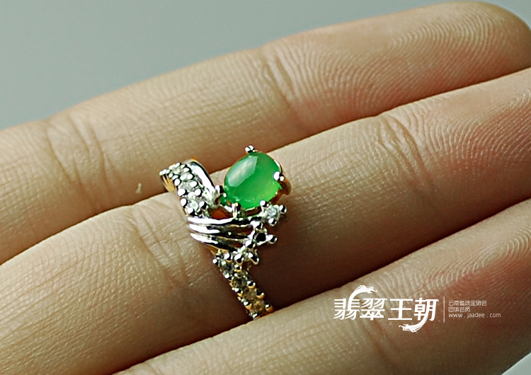 https://jdimg.jaadee.net//images/201104/goods_img/5492_P_1303949146411.jpg