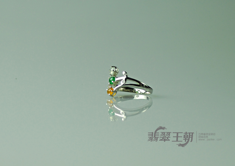 https://jdimg.jaadee.net//images/201104/goods_img/5495_P_1303950219096.jpg