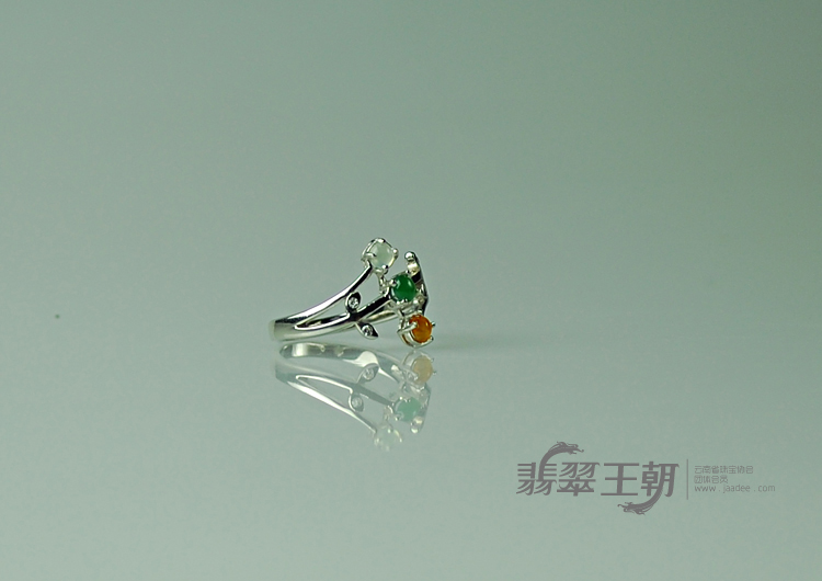 https://jdimg.jaadee.net//images/201104/goods_img/5495_P_1303950219370.jpg