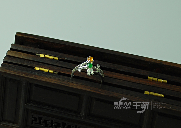 https://jdimg.jaadee.net//images/201104/goods_img/5495_P_1303950220882.jpg