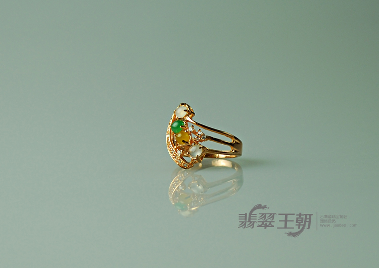 https://jdimg.jaadee.net//images/201104/goods_img/5497_P_1303950842166.jpg