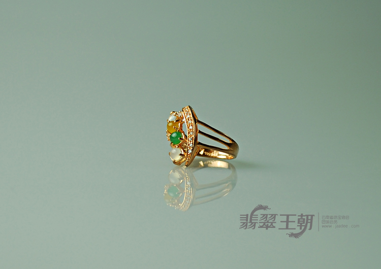 https://jdimg.jaadee.net//images/201104/goods_img/5497_P_1303950843382.jpg
