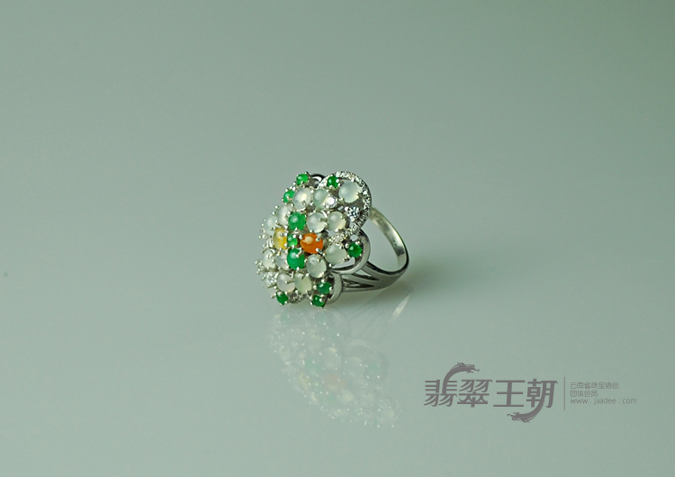 https://jdimg.jaadee.net//images/201104/goods_img/5499_P_1303951555309.jpg