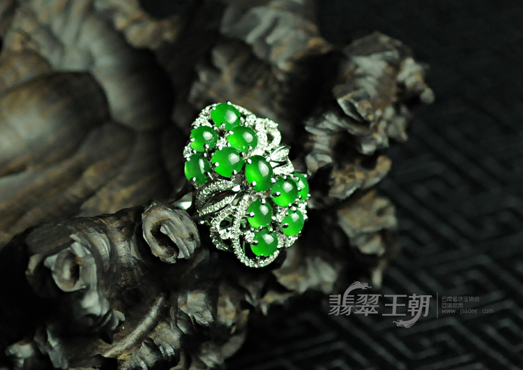 https://jdimg.jaadee.net//images/201105/goods_img/5913_P_1306102460958.jpg