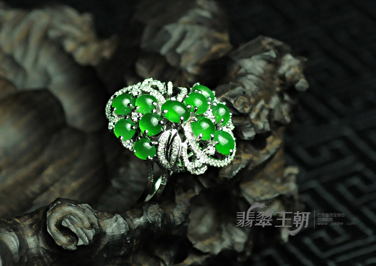 https://jdimg.jaadee.net//images/201105/goods_img/5913_P_1306102460964.jpg