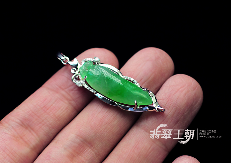 https://jdimg.jaadee.net//images/201107/goods_img/6627_P_1311111303626.jpg