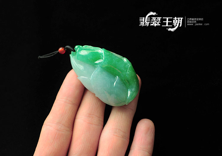 https://jdimg.jaadee.net//images/201109/goods_img/7950_P_1316034452379.jpg
