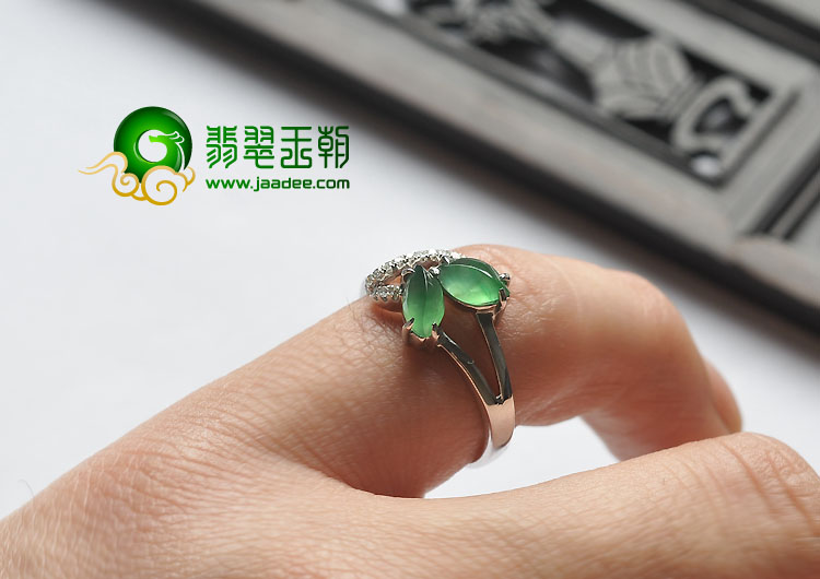 https://jdimg.jaadee.net//images/201301/goods_img/24989_P_1358451988943.jpg