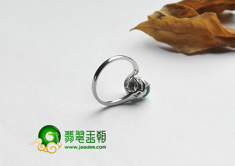 https://jdimg.jaadee.net//images/201306/goods_img/28680_P_1371538030284.jpg