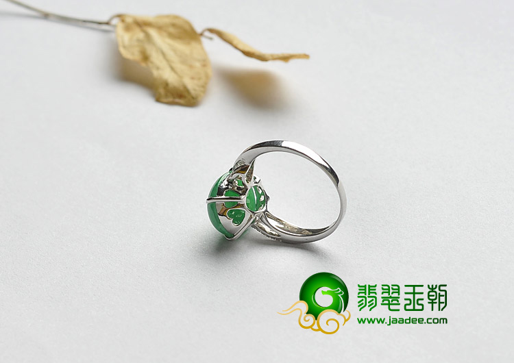 https://jdimg.jaadee.net//images/201307/goods_img/29755_P_1374140633013.jpg