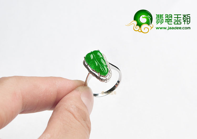 (超值推荐)糯冰种正阳绿镶白金叶子戒指(真钻)