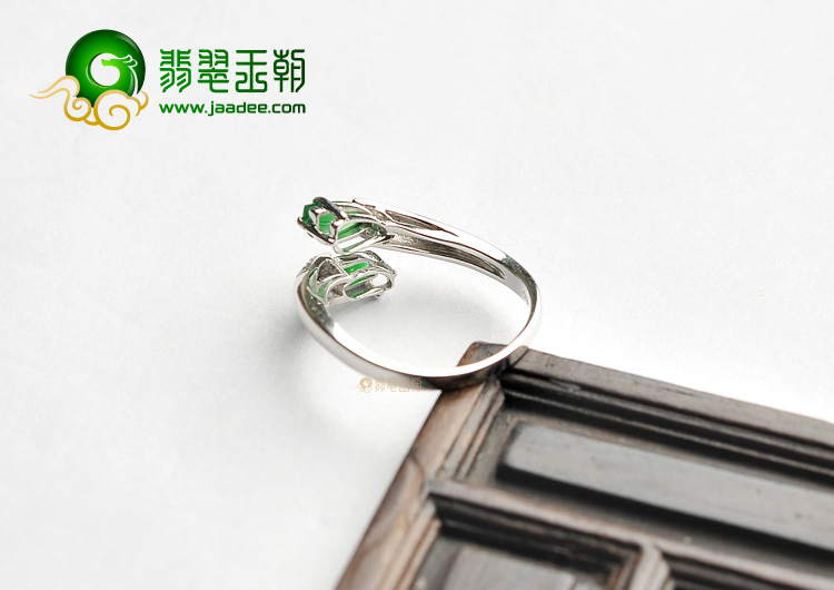 https://jdimg.jaadee.net//images/201406/goods_img/41496_P_1402541720420.jpg