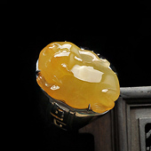 冰种黄翡缅甸翡翠A货镶白金金蟾戒指