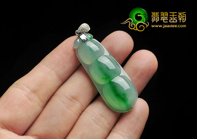 冰种飘翠缅甸翡翠A货四季豆（金扣）